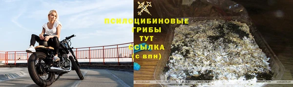 ALPHA PVP Богородск
