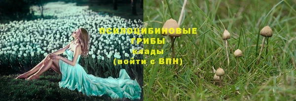 a pvp Белокуриха