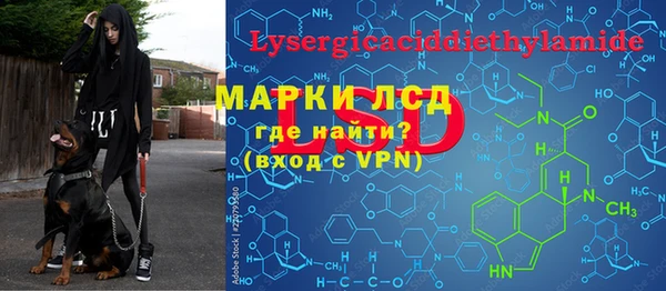 мдпв Богданович
