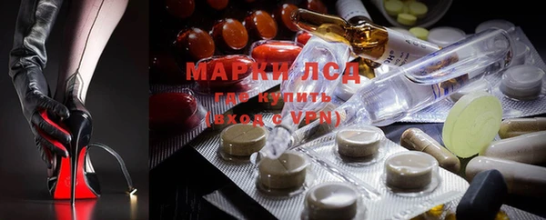 мдпв Богданович